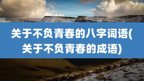 关于不负青春的八字词语(关于不负青春的成语)