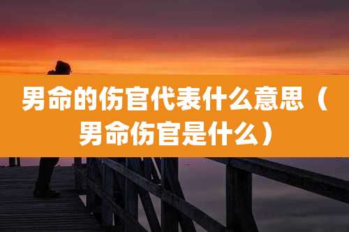 男命的伤官代表什么意思（男命伤官是什么）