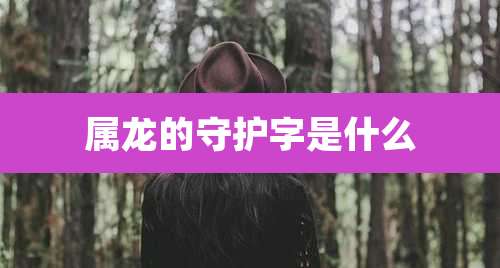 属龙的守护字是什么
