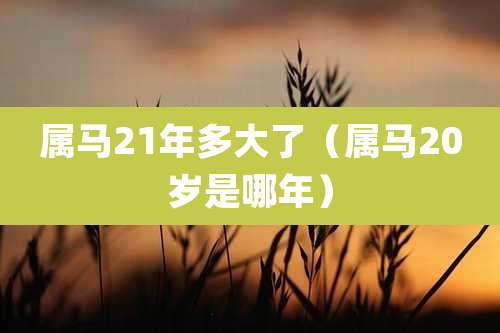 属马21年多大了（属马20岁是哪年）