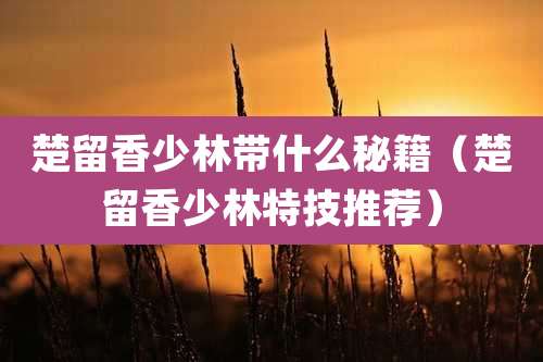 楚留香少林带什么秘籍（楚留香少林特技推荐）