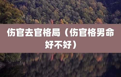 伤官去官格局（伤官格男命好不好）