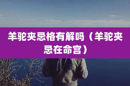 羊驼夹忌格有解吗（羊驼夹忌在命宫）