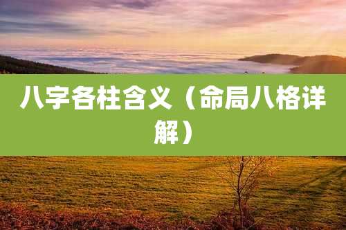 八字各柱含义（命局八格详解）