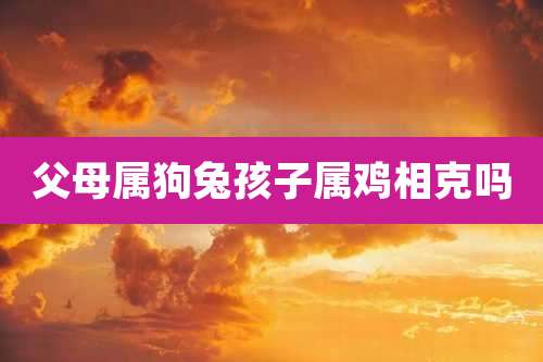 父母属狗兔孩子属鸡相克吗
