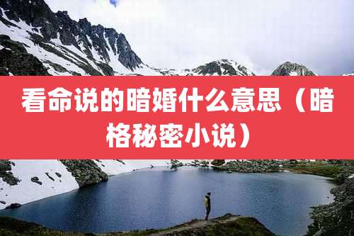 看命说的暗婚什么意思（暗格秘密小说）