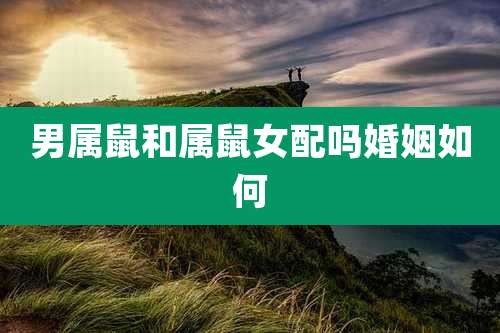 男属鼠和属鼠女配吗婚姻如何