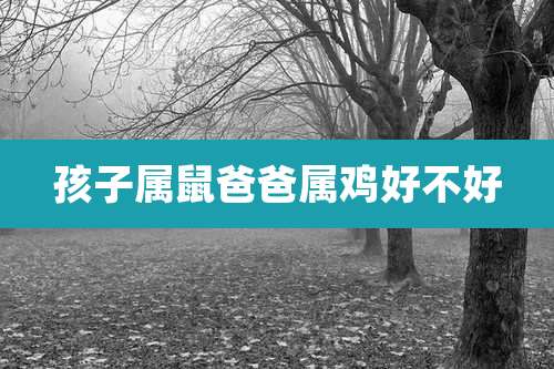 孩子属鼠爸爸属鸡好不好