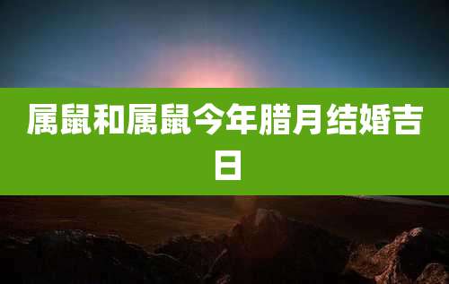 属鼠和属鼠今年腊月结婚吉日