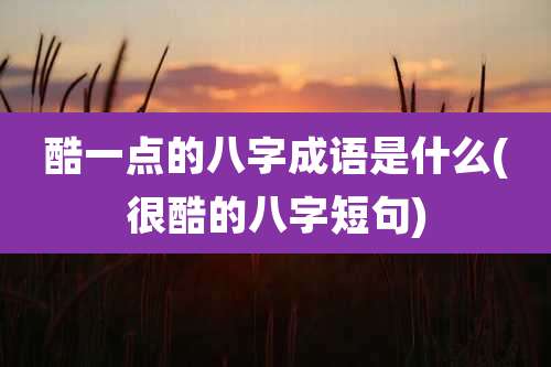 酷一点的八字成语是什么(很酷的八字短句)