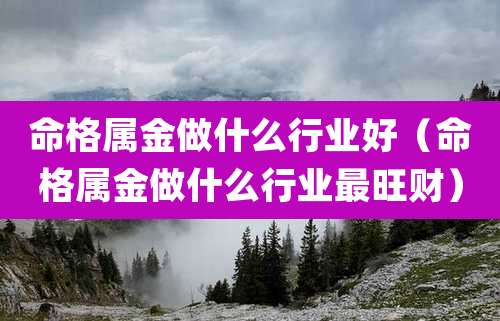 命格属金做什么行业好（命格属金做什么行业最旺财）