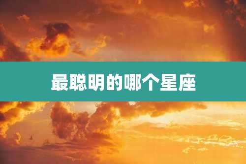 最聪明的哪个星座