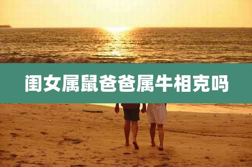 闺女属鼠爸爸属牛相克吗