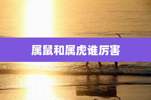 属鼠和属虎谁厉害