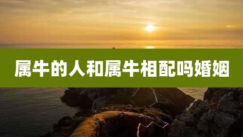 属牛的人和属牛相配吗婚姻