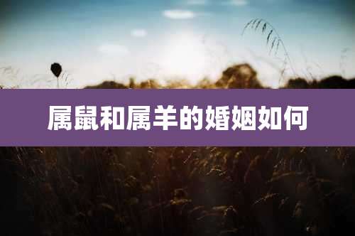 属鼠和属羊的婚姻如何