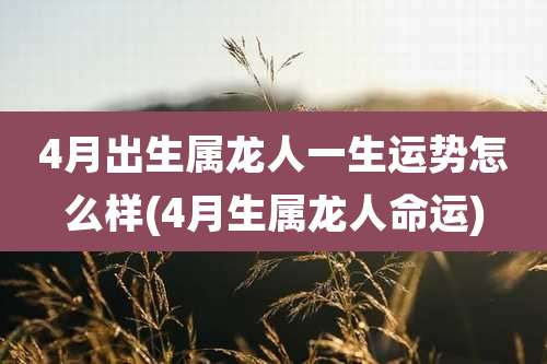 4月出生属龙人一生运势怎么样(4月生属龙人命运)