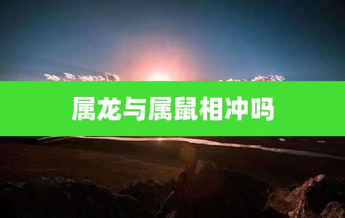 属龙与属鼠相冲吗