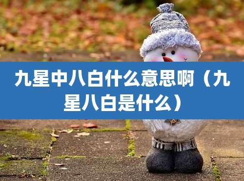 九星中八白什么意思啊（九星八白是什么）
