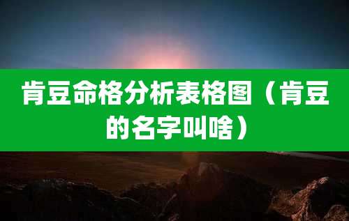 肯豆命格分析表格图（肯豆的名字叫啥）