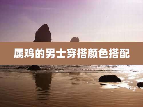 属鸡的男士穿搭颜色搭配