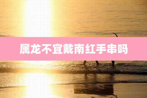 属龙不宜戴南红手串吗