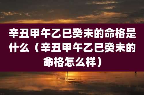 辛丑甲午乙巳癸未的命格是什么（辛丑甲午乙巳癸未的命格怎么样）