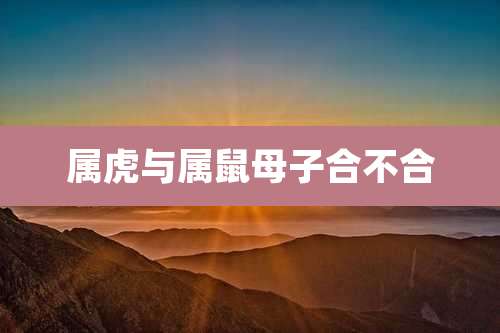 属虎与属鼠母子合不合