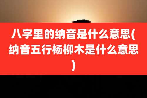 八字里的纳音是什么意思(纳音五行杨柳木是什么意思)