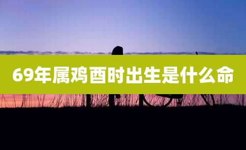 69年属鸡酉时出生是什么命