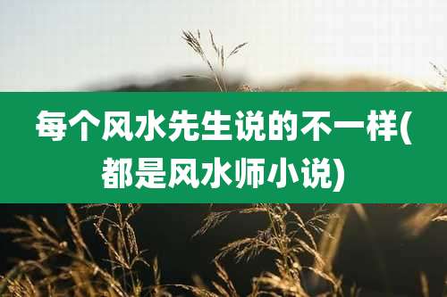 每个风水先生说的不一样(都是风水师小说)