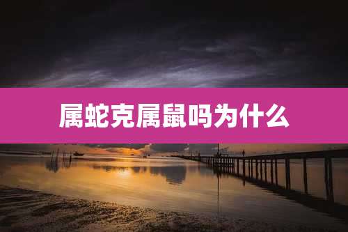 属蛇克属鼠吗为什么