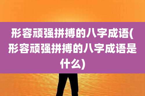 形容顽强拼搏的八字成语(形容顽强拼搏的八字成语是什么)