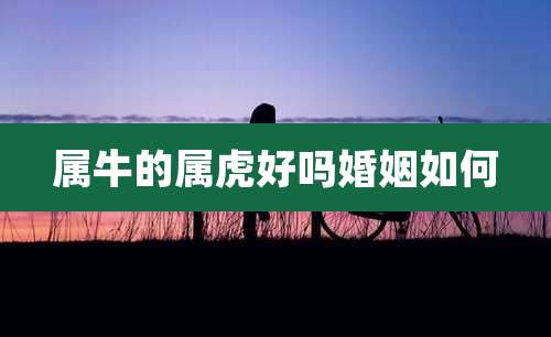 属牛的属虎好吗婚姻如何