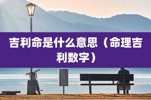 吉利命是什么意思（命理吉利数字）