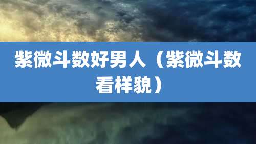 紫微斗数好男人（紫微斗数看样貌）