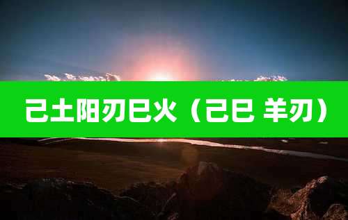 己土阳刃巳火（己巳 羊刃）
