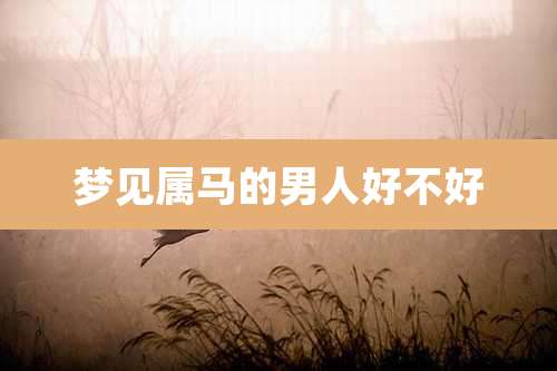 梦见属马的男人好不好