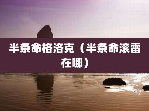 半条命格洛克（半条命滚雷在哪）