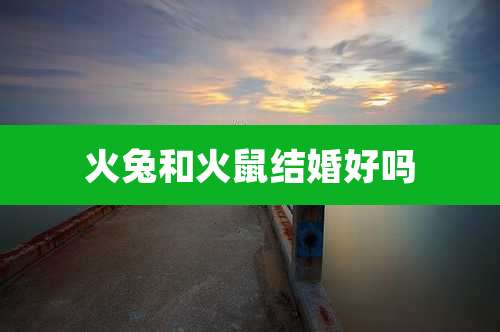 火兔和火鼠结婚好吗