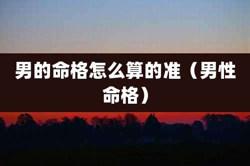 男的命格怎么算的准（男性命格）