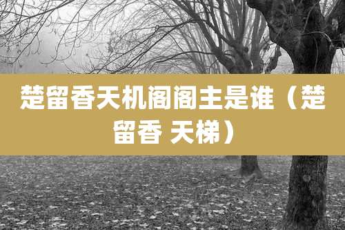 楚留香天机阁阁主是谁（楚留香 天梯）