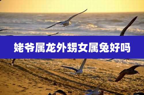 姥爷属龙外甥女属兔好吗