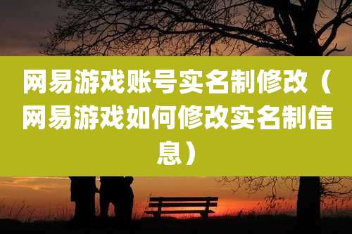网易游戏账号实名制修改（网易游戏如何修改实名制信息）