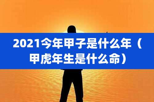 2021今年甲子是什么年（甲虎年生是什么命）
