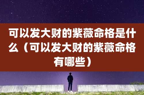 可以发大财的紫薇命格是什么(可以发大财的紫薇命格有哪些)