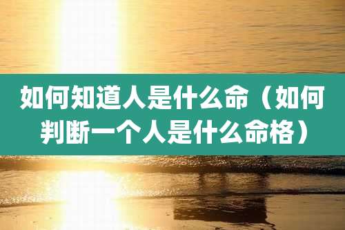 如何知道人是什么命（如何判断一个人是什么命格）