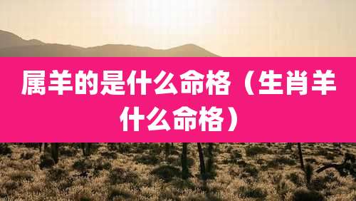 属羊的是什么命格（生肖羊什么命格）