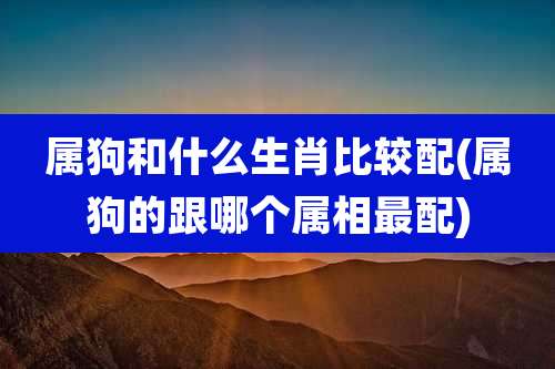 属狗和什么生肖比较配(属狗的跟哪个属相最配)