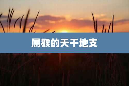 属猴的天干地支